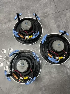 125 Watts High Quality American Origin Acoustics Ceiling Speaker D60
