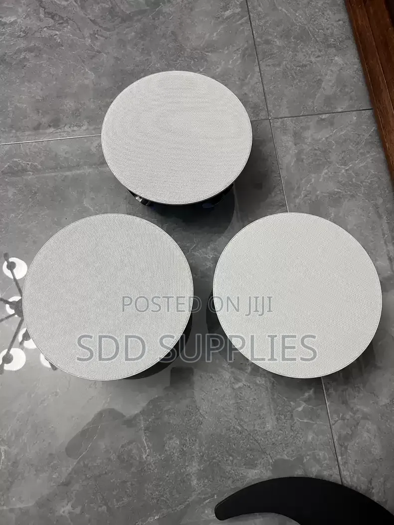 125 Watts High Quality American Origin Acoustics Ceiling Speaker D60