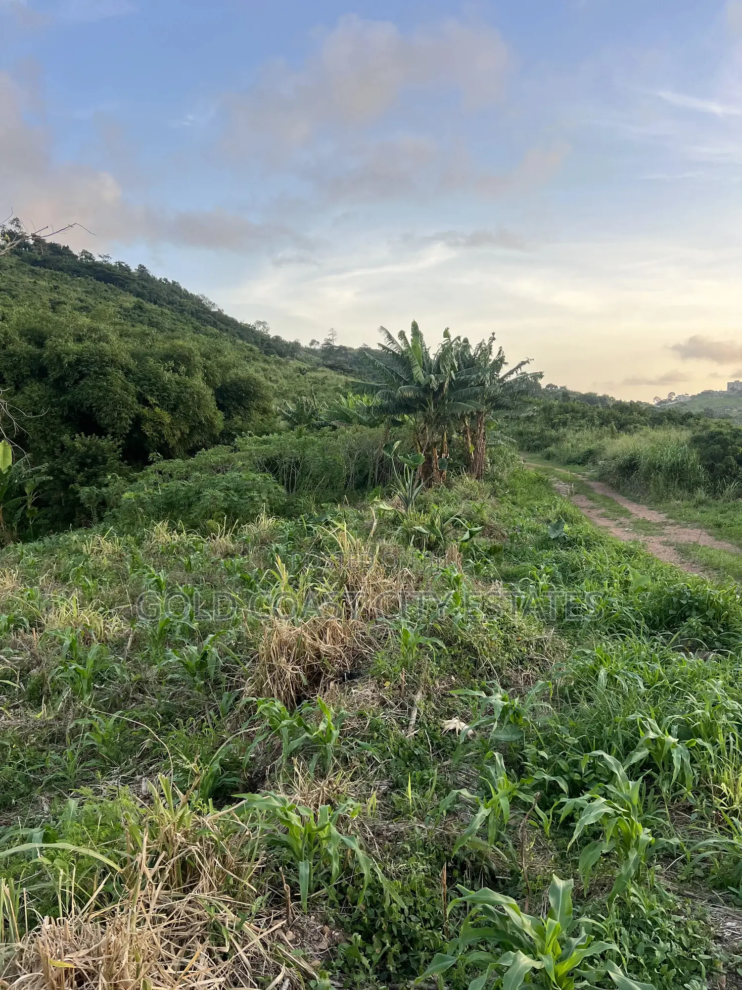 Registered Lands for Sale at Aburi