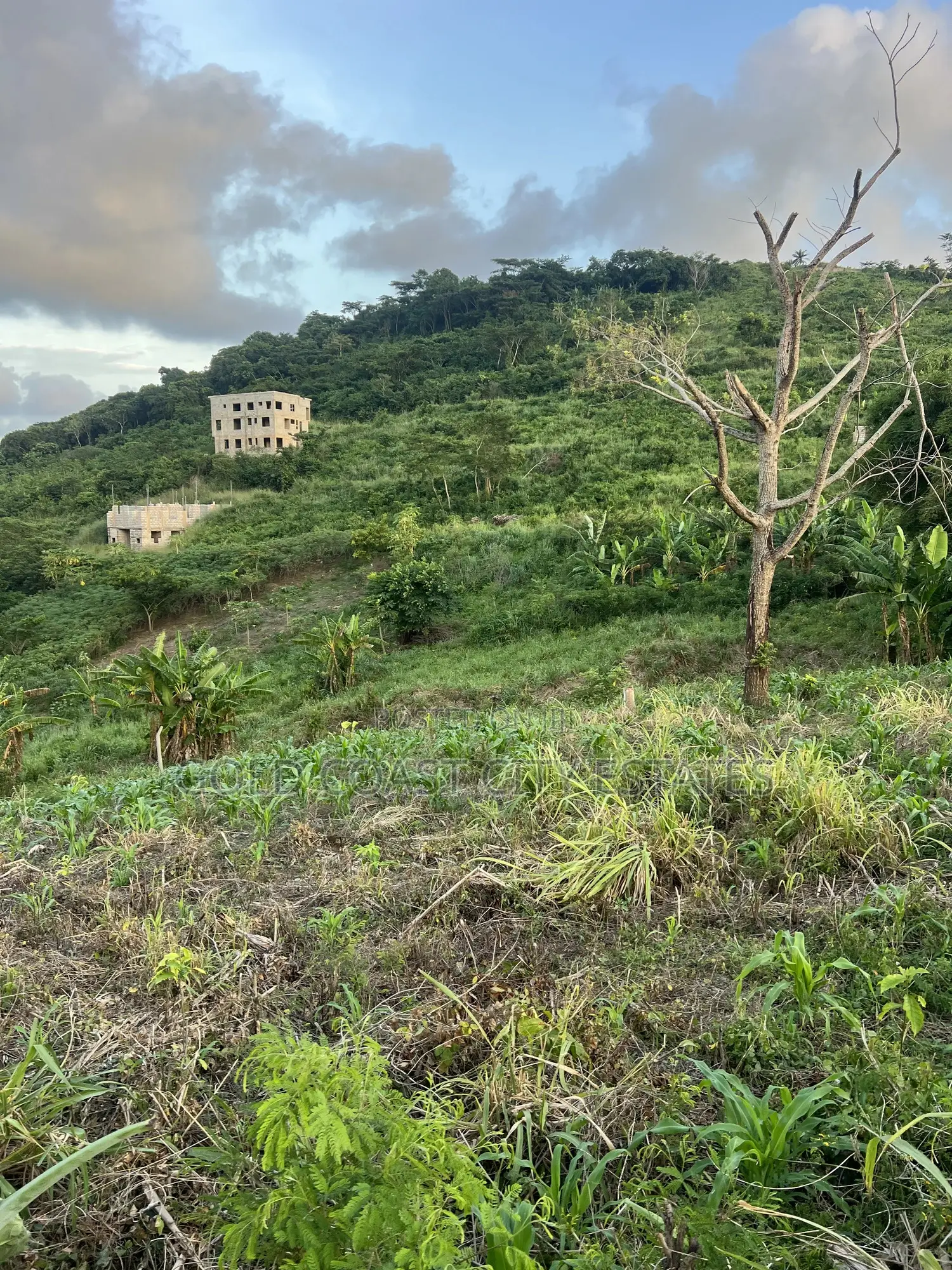 Registered Lands for Sale at Aburi