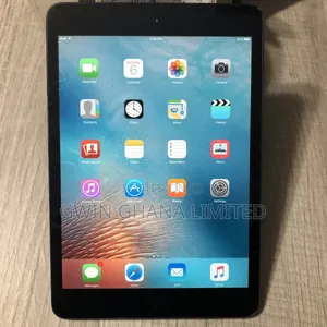 Apple iPad mini 2 16 GB Gray