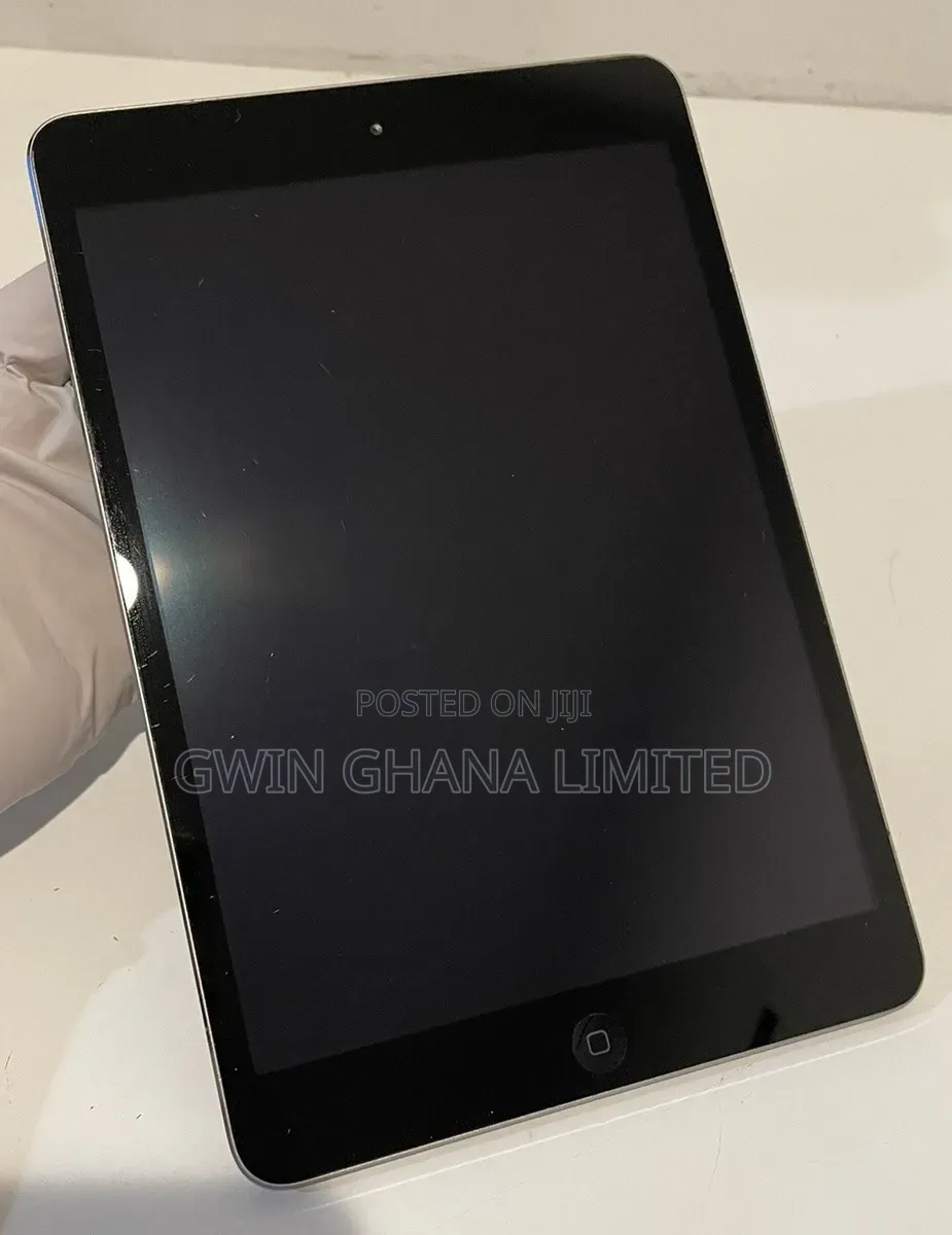 Apple iPad mini 2 16 GB Gray