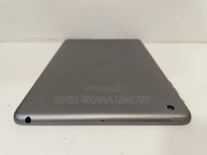Apple iPad mini 2 16 GB Gray