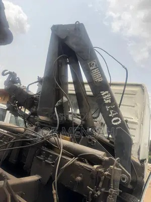 Hydraulic Crane for Sale