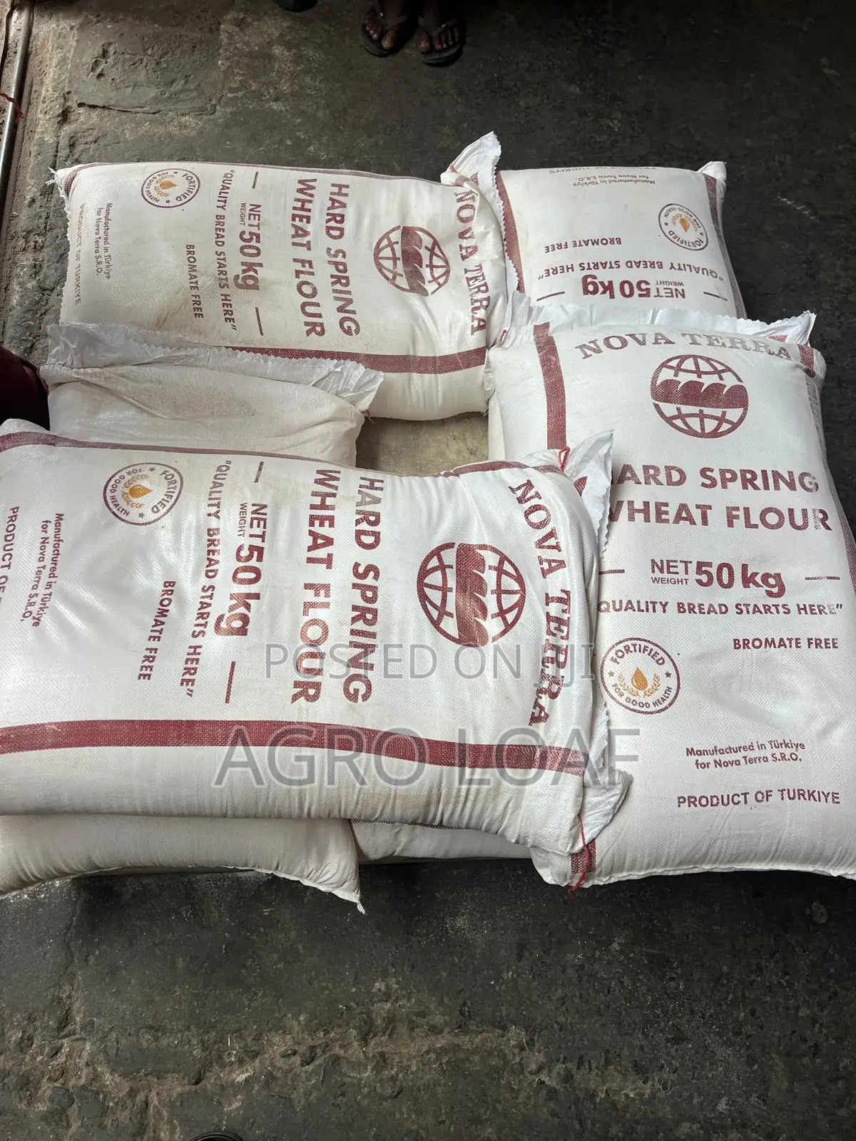 Nova Terra Hard Spring Wheat Flour 50kg