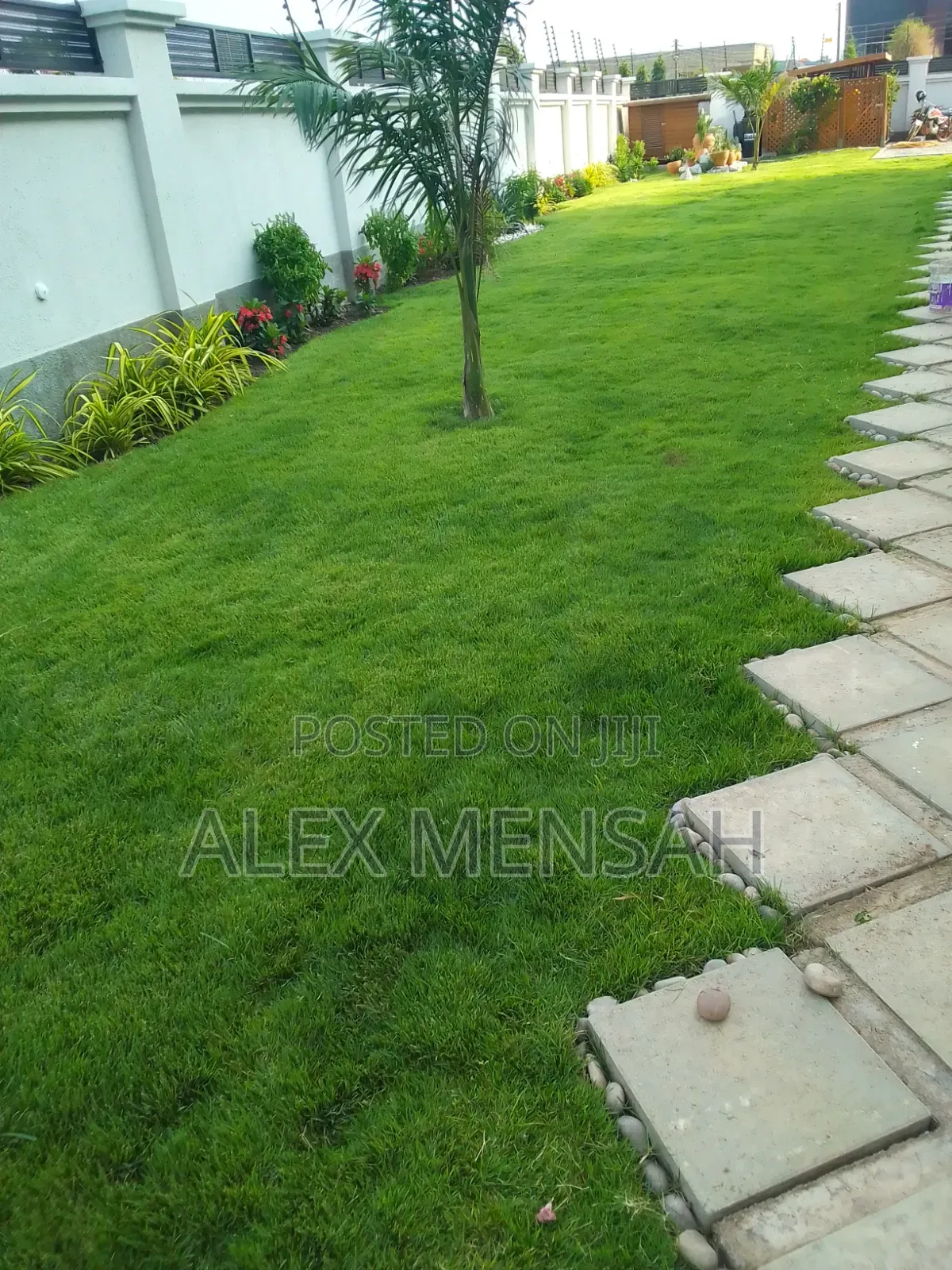 Alexis Gardens