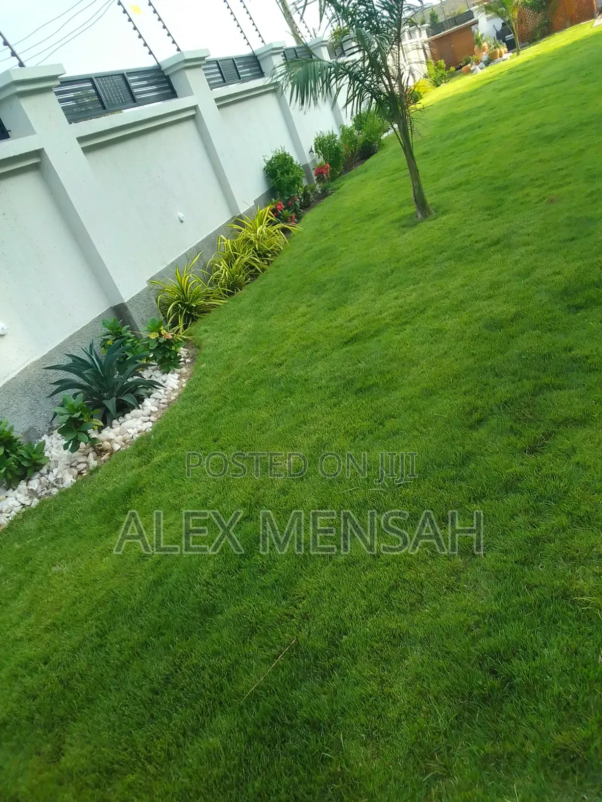 Alexis Gardens