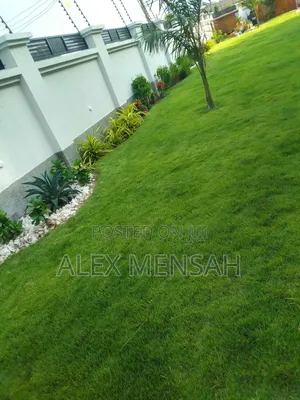 Alexis Gardens