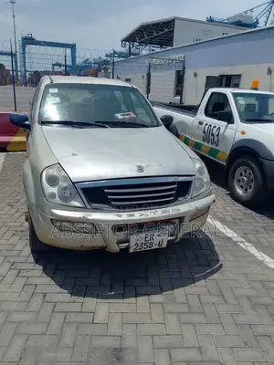 SsangYong Rexton RX 290 Dynamic 2005 Gray