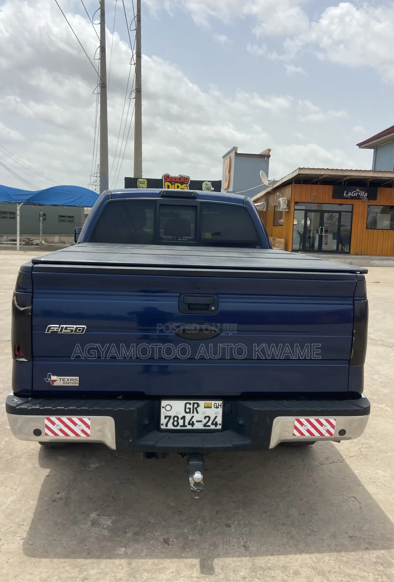 Ford F-150 FX4 2011 Blue