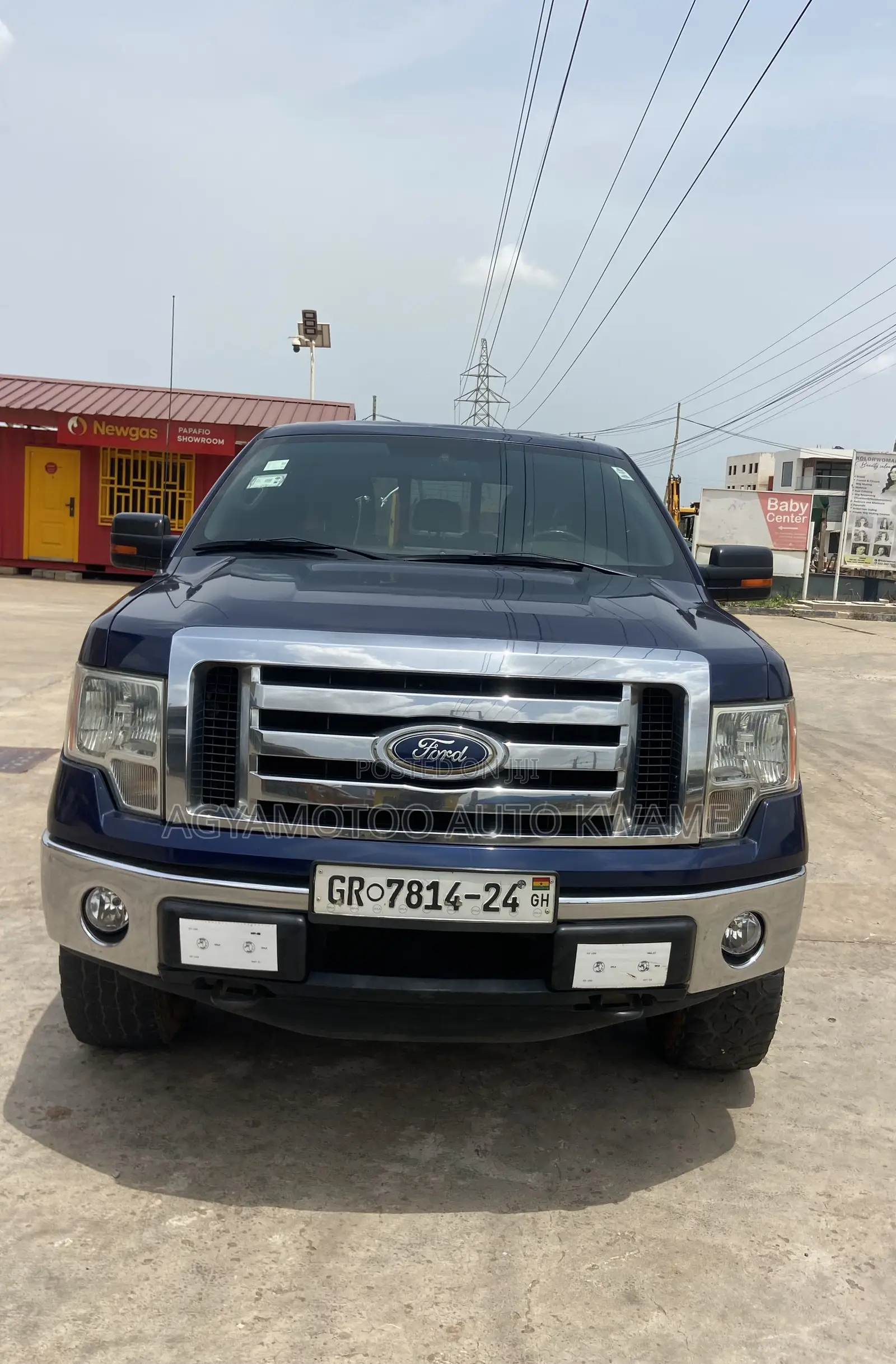 Ford F-150 FX4 2011 Blue