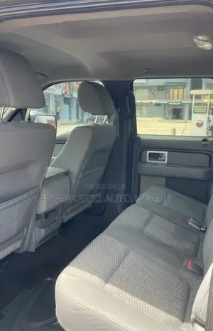 Ford F-150 FX4 2011 Blue