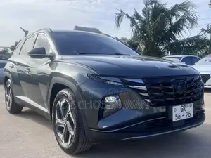 Hyundai Tucson Limited 2024 Green