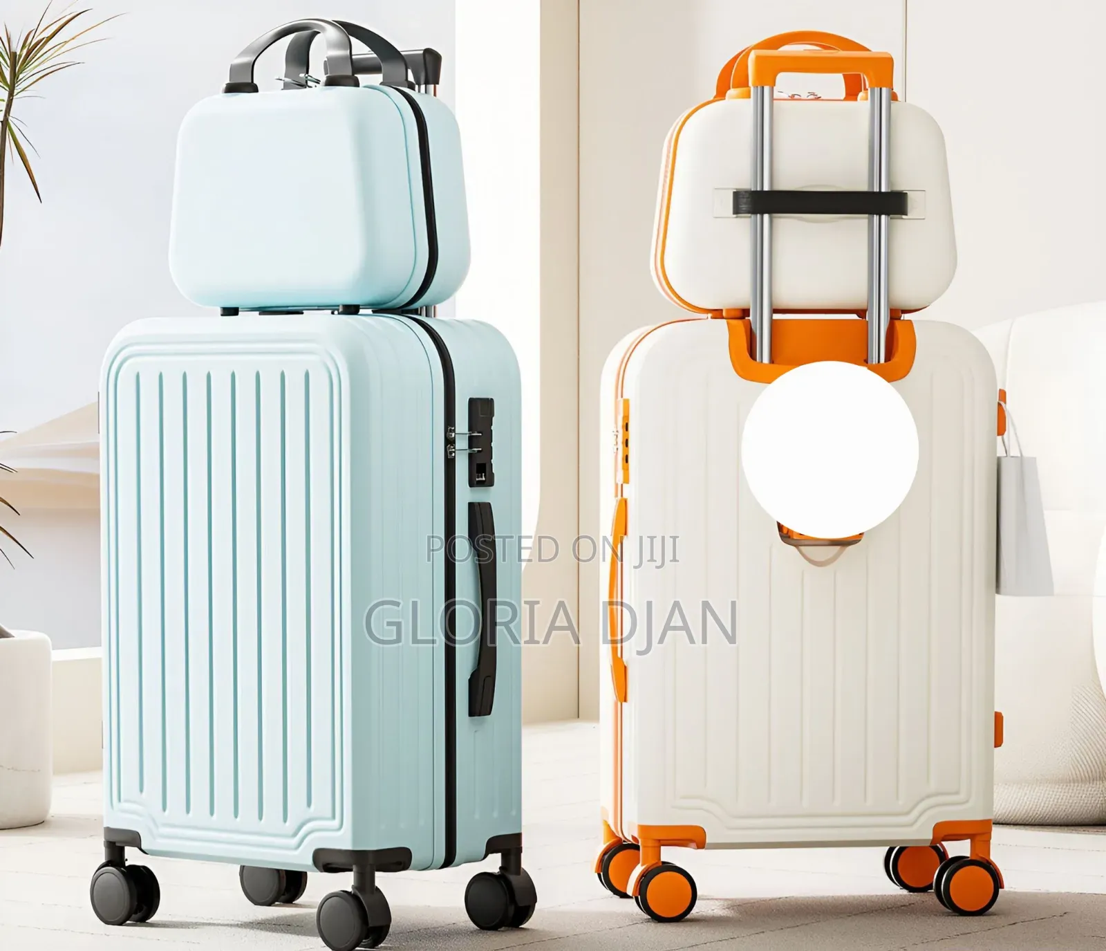 2 in 1 Travelling Bag