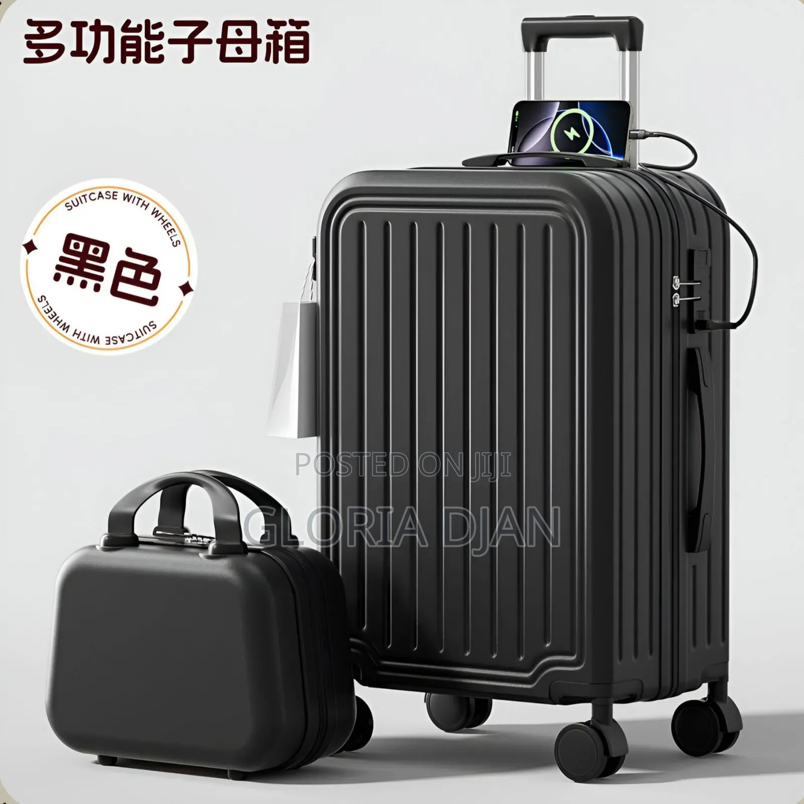 2 in 1 Travelling Bag