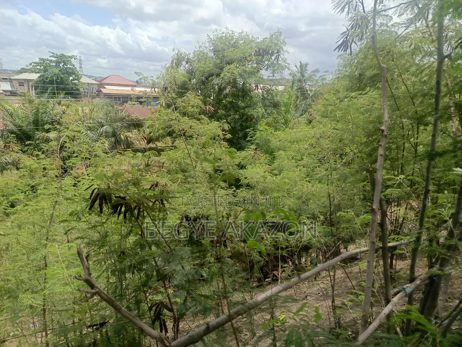 25 Acres Farm Land at Kintapo for Sale