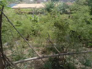 25 Acres Farm Land at Kintapo for Sale