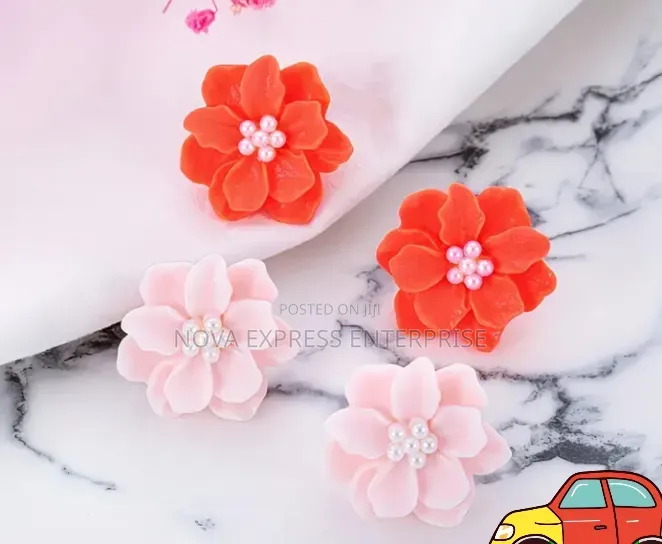 Nova Express Earrings and Accessories