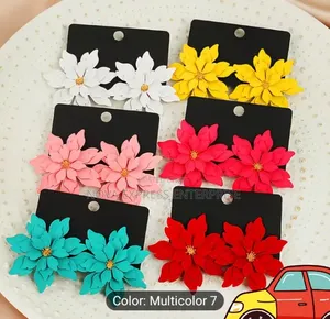 Nova Express Earrings and Accessories