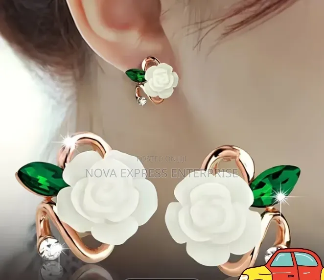 Nova Express Earrings and Accessories