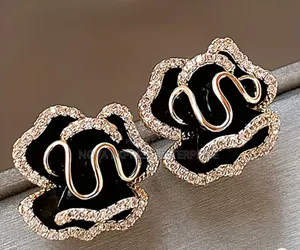 Nova Express Earrings and Accessories