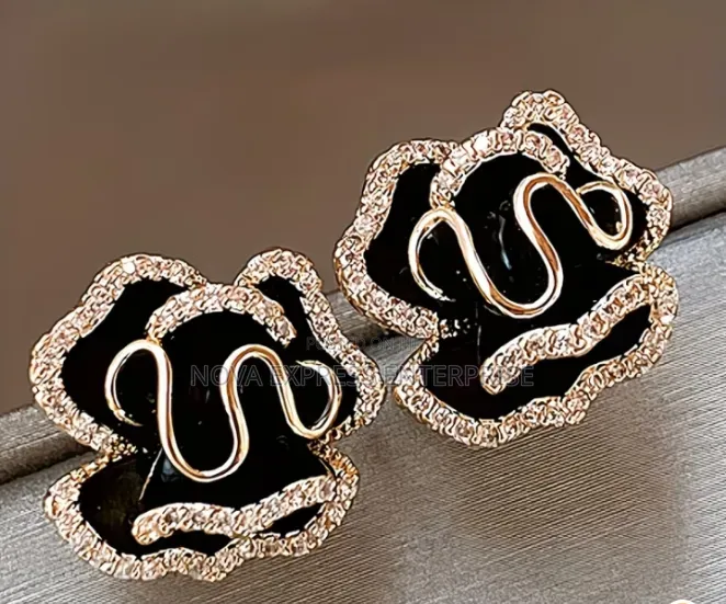 Nova Express Earrings and Accessories