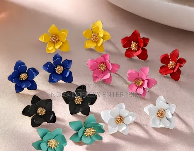 Nova Express Earrings and Accessories