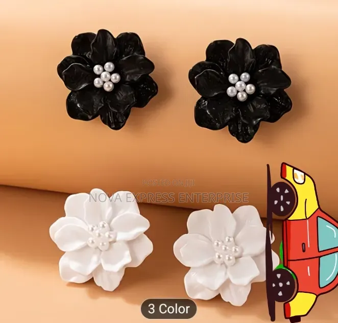 Nova Express Earrings and Accessories