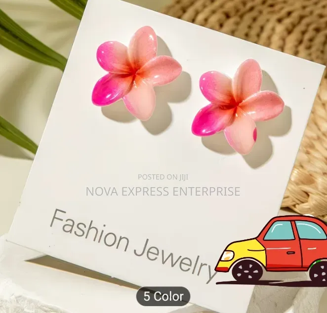 Nova Express Earrings and Accessories