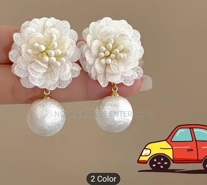 Nova Express Earrings and Accessories