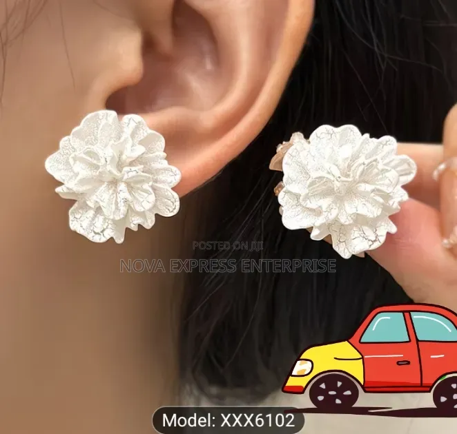Nova Express Earrings and Accessories
