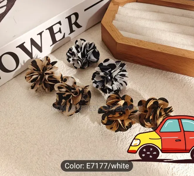 Nova Express Earrings and Accessories