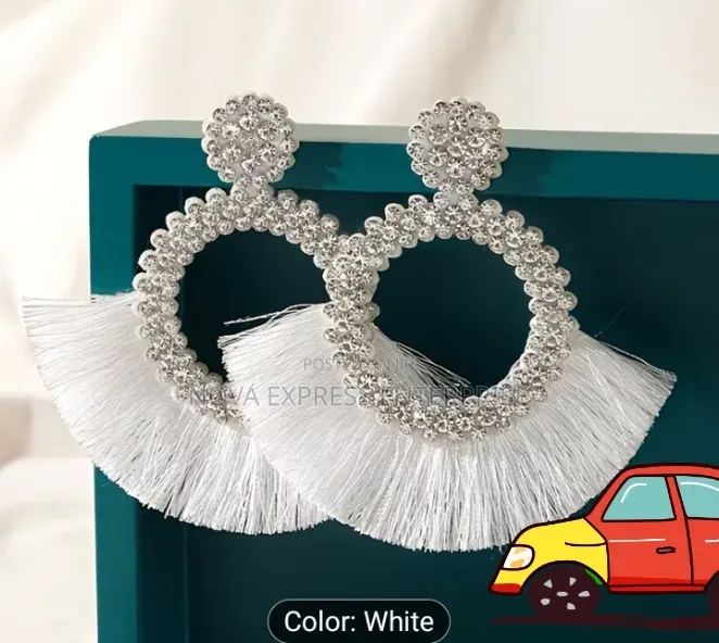 Nova Express Earrings and Accessories
