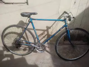 Bicycle Blue