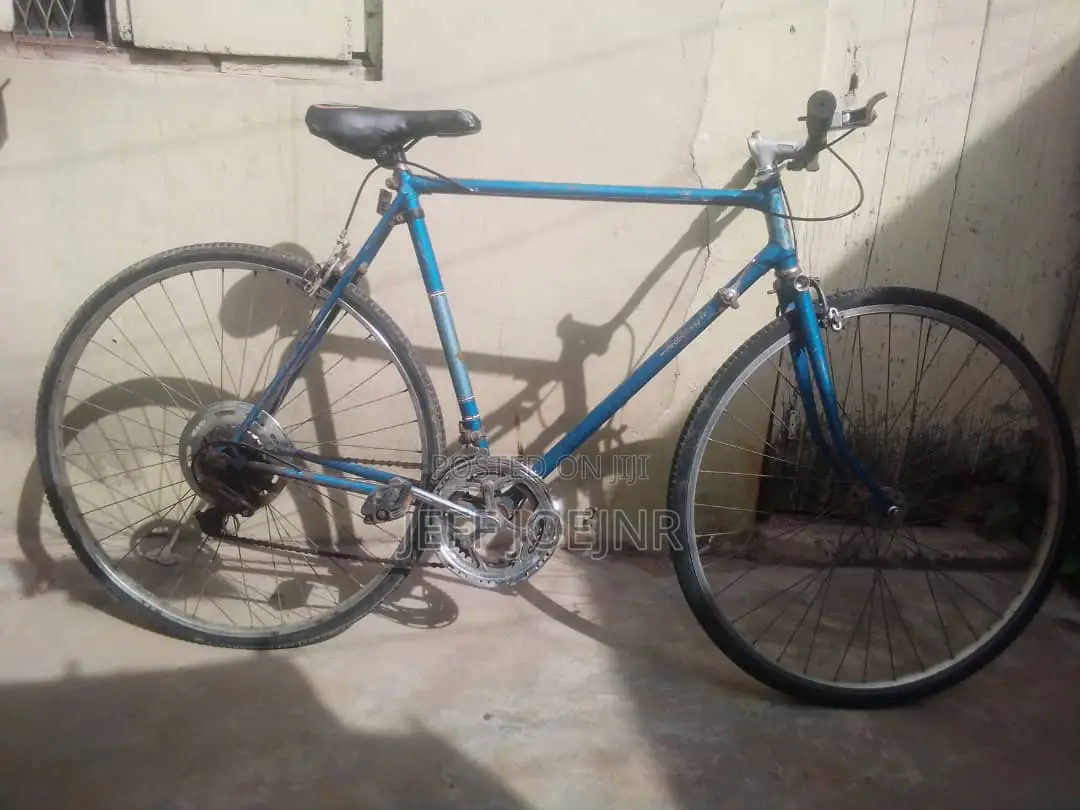 Bicycle Blue