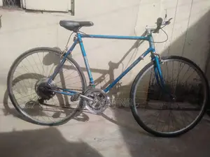 Bicycle Blue