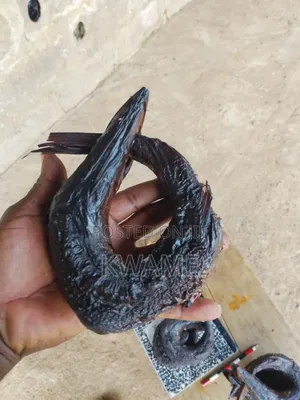 Sweet Sea Fish