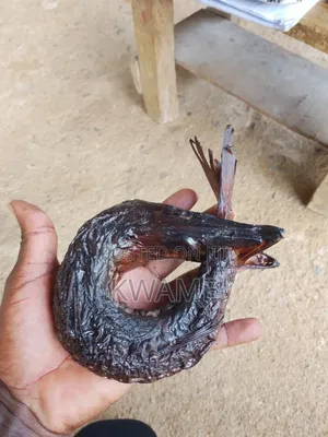 Sweet Sea Fish