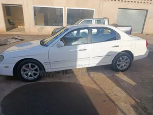 Hyundai Sonata 1999 White
