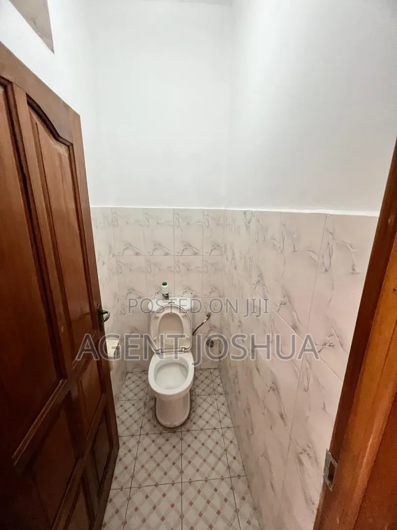2bdrm Apartment in Alys Plaza, Dzorwulu for rent