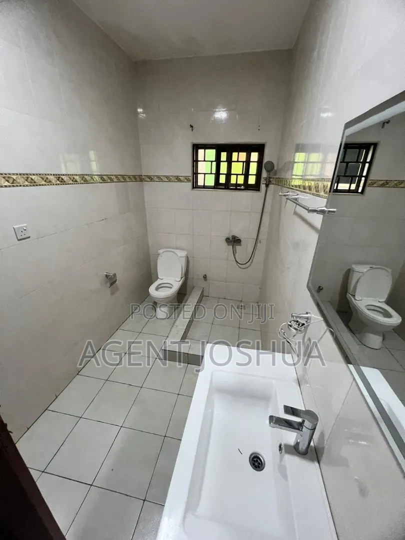 2bdrm Apartment in Alys Plaza, Dzorwulu for rent