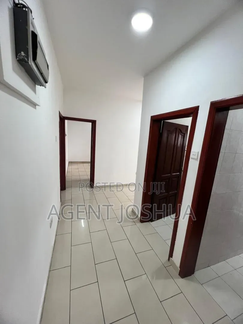 2bdrm Apartment in Alys Plaza, Dzorwulu for rent