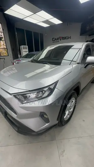 Toyota RAV4 XLE AWD 2019 Gray