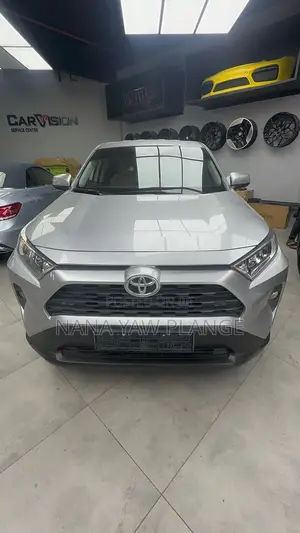 Toyota RAV4 XLE AWD 2019 Gray