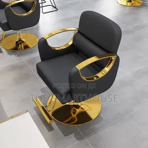 Luxury Professional Salon Chair