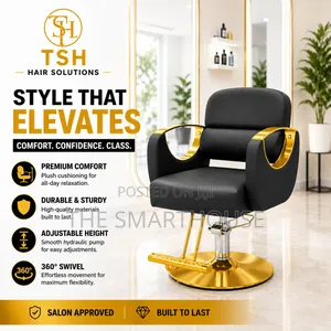 Luxury Professional Salon Chair