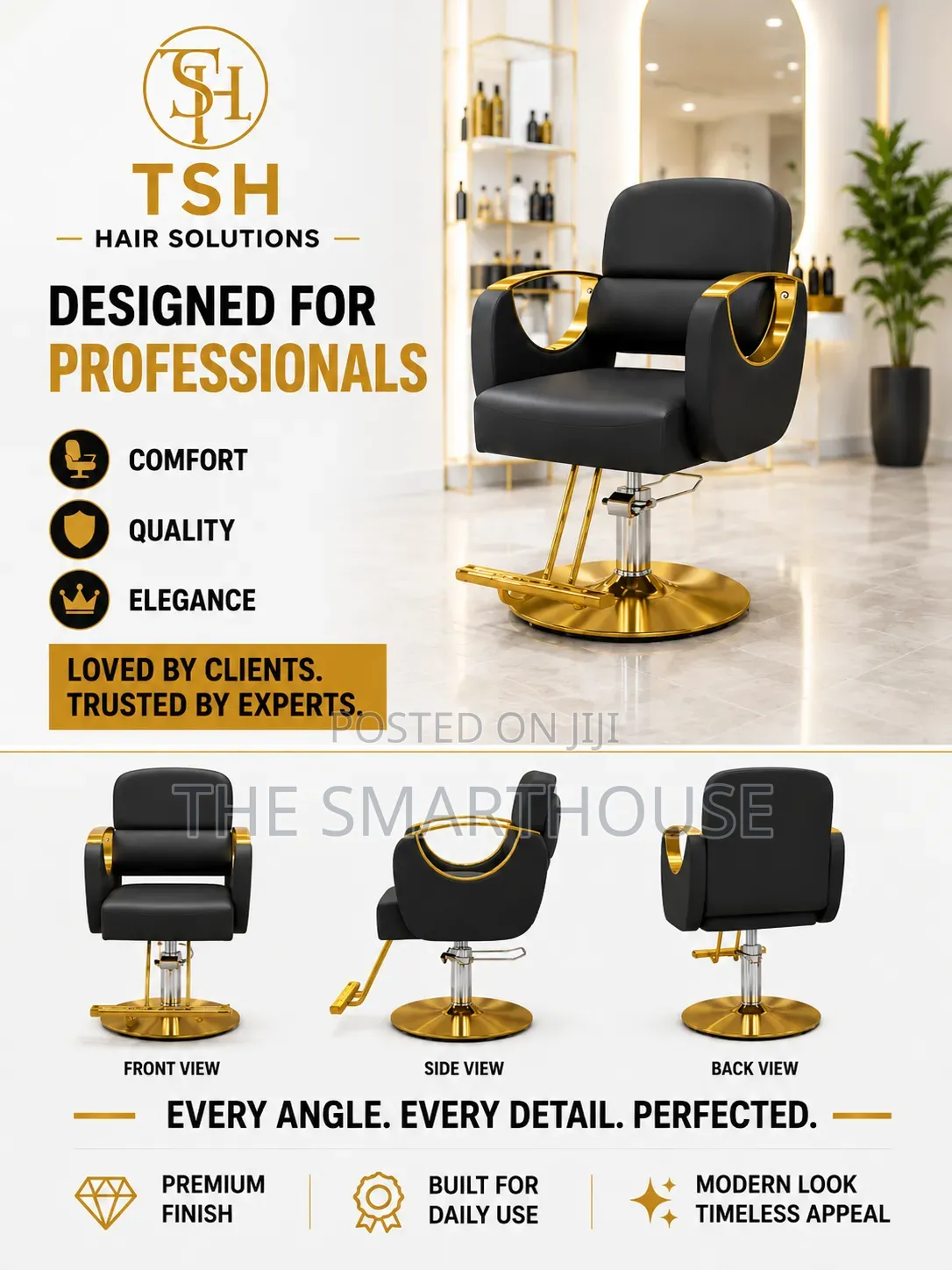 Luxury Professional Salon Chair