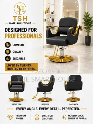 Luxury Professional Salon Chair