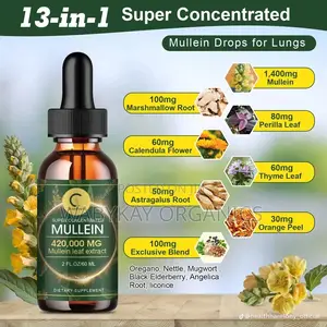 Chaste Berry Vitex Extract-300mg