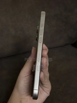 Apple iPhone 15 Pro Max 512 GB Silver